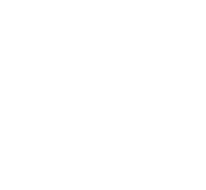 Elion